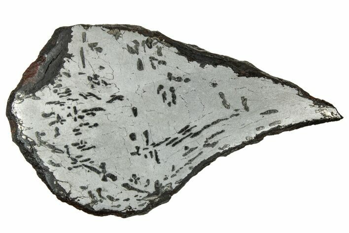 Etched Canyon Diablo Meteorite Slice ( g) - Arizona #329382